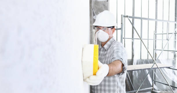 Best Mold Remediation for Healthcare Facilities in USA